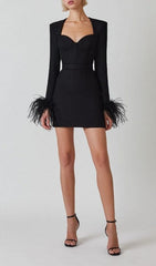 Robe mini à manches longues stretch et plumes noires