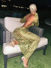 Robe longue dos nu à décolleté plongeant et fente en V ornée d'un ruban